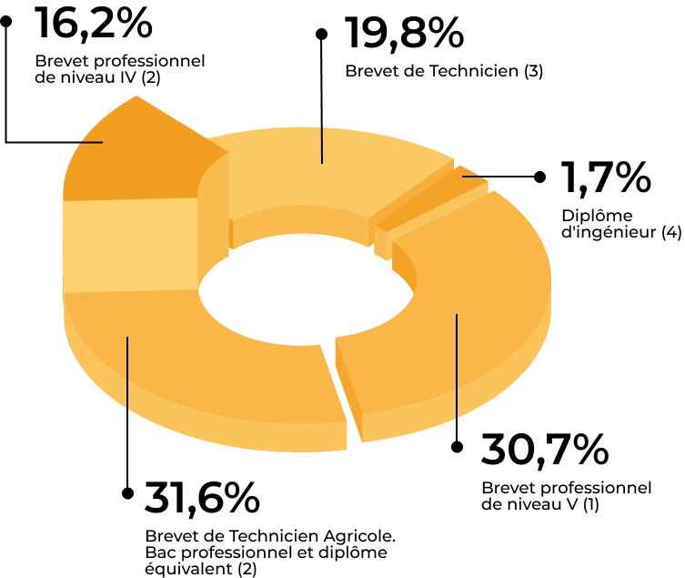 Niveau de formation